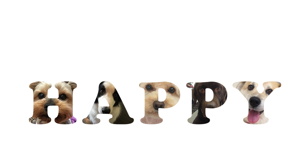 福岡 福津市 HAPPY（ハッピー）